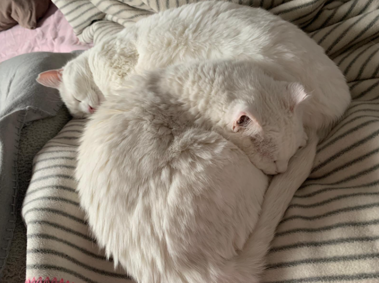 Mona und Frieda
