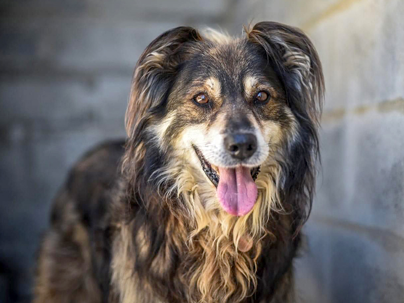 Boris