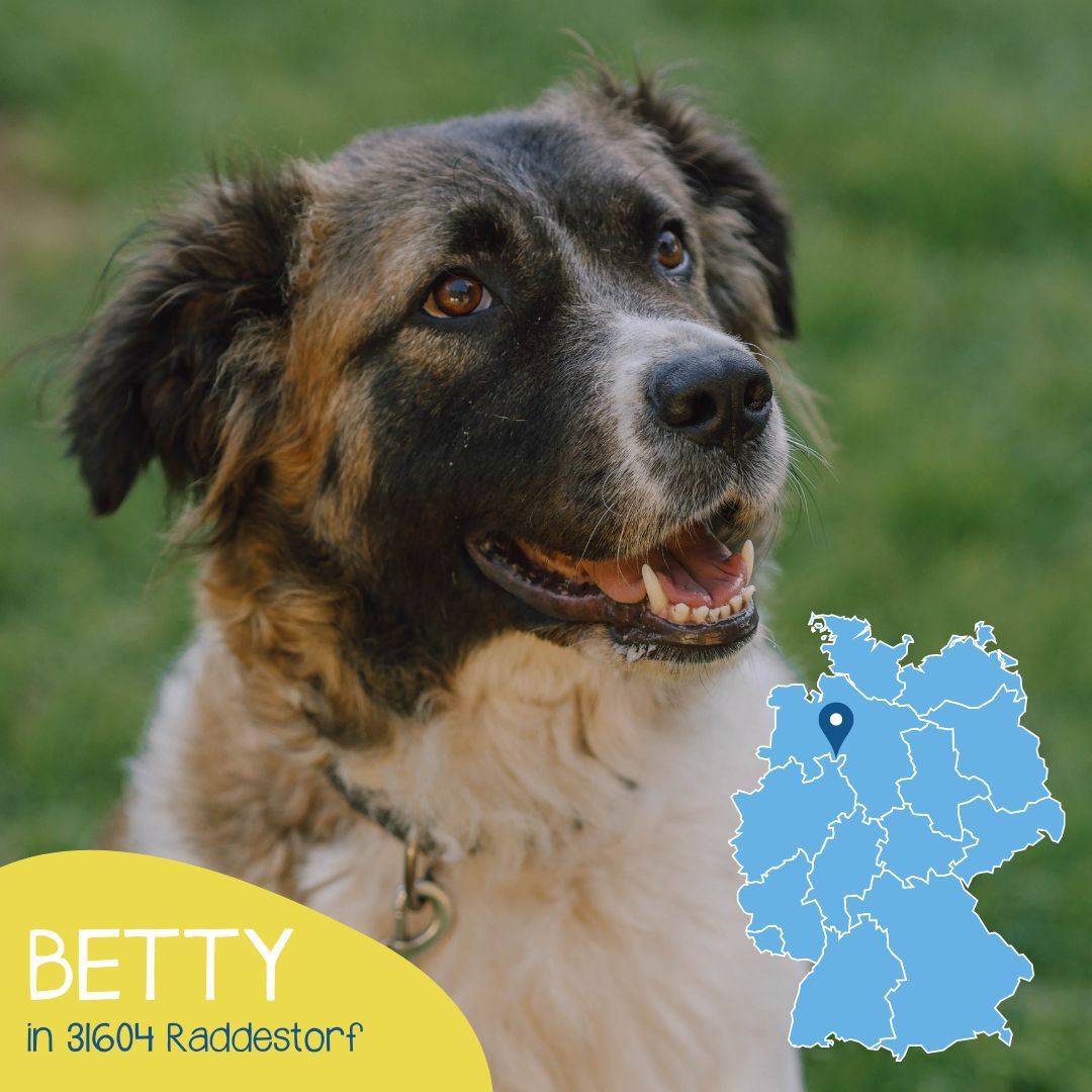 Betty