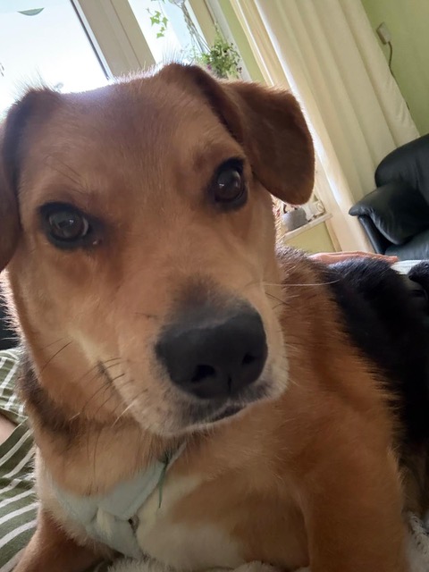 Sam