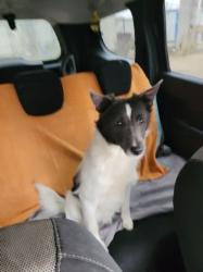 Fiona
