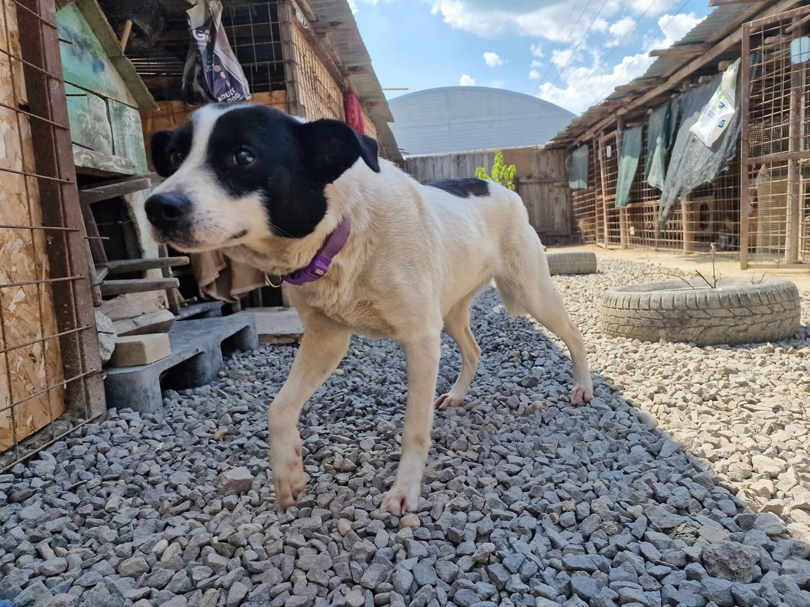 Tara 🐾