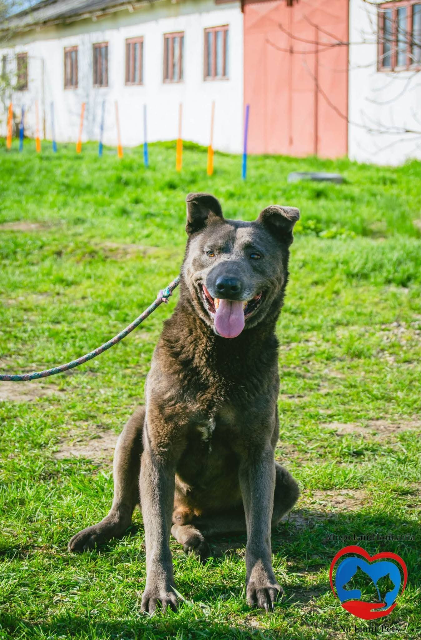 Duke