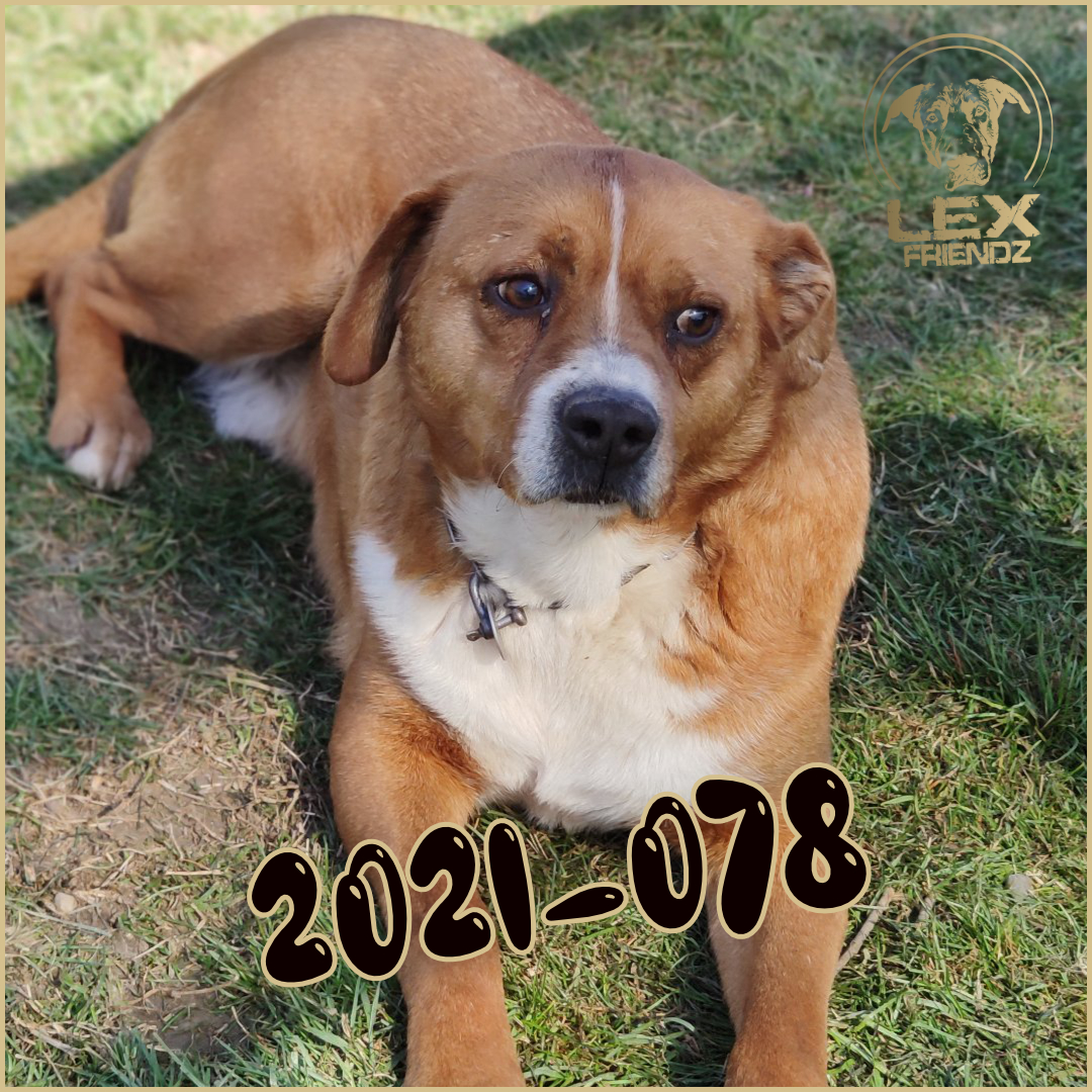 2021-078