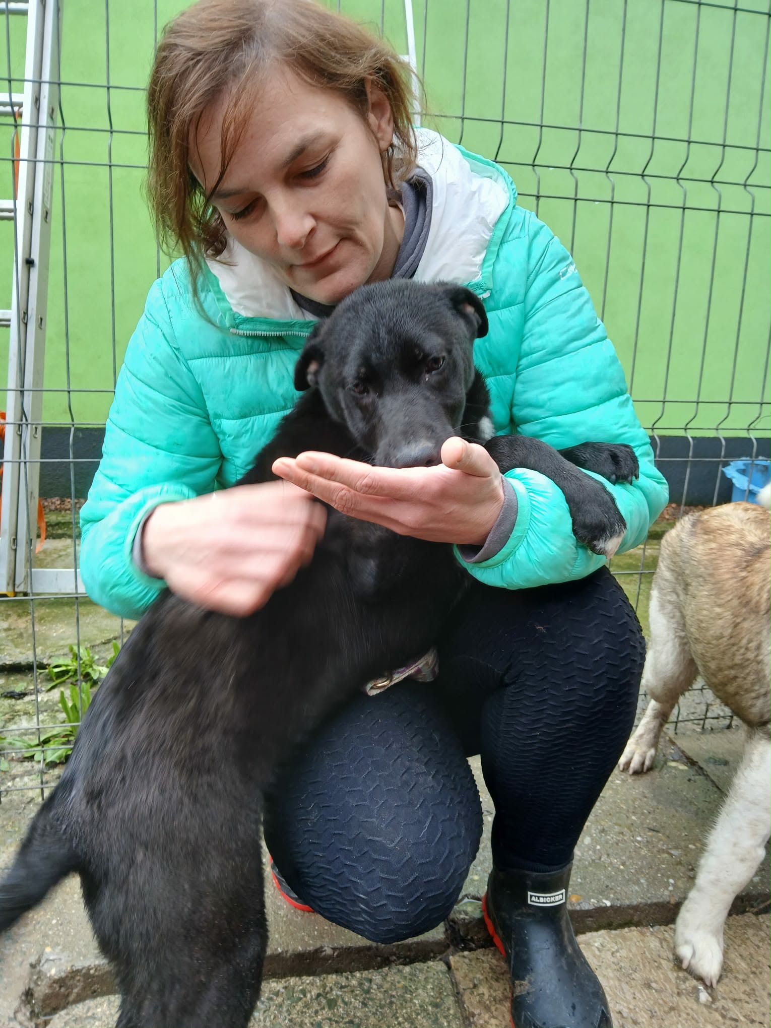 James🐾neugieriger Junghund