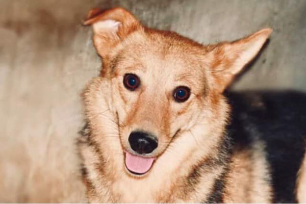 Yuki