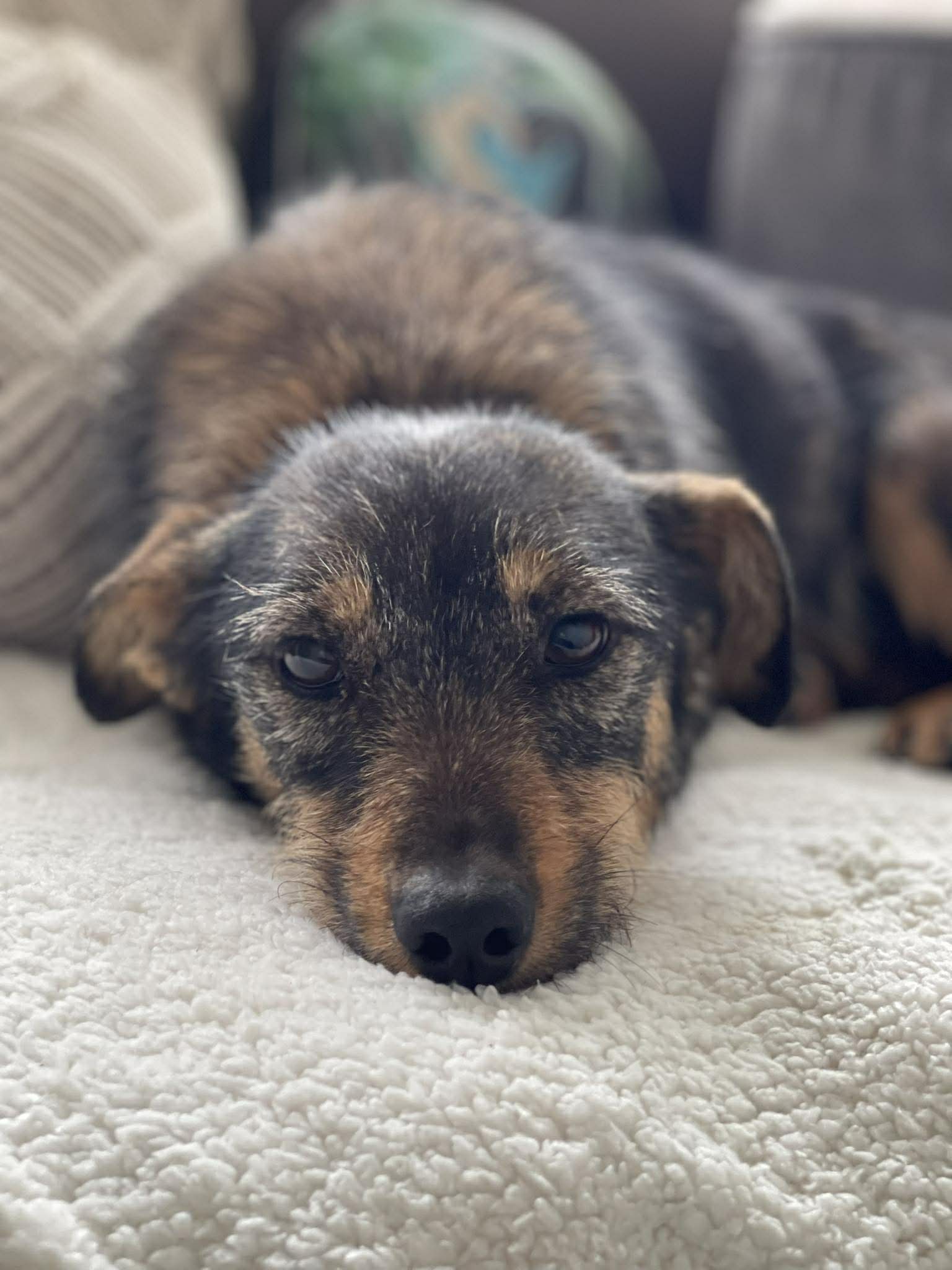 TILLY