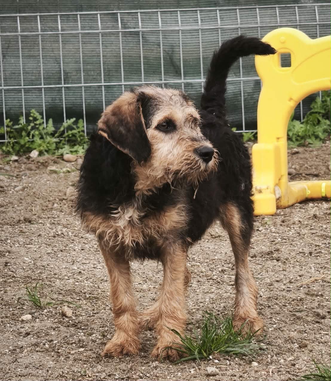 Jörig🐾großer Kuschelfan