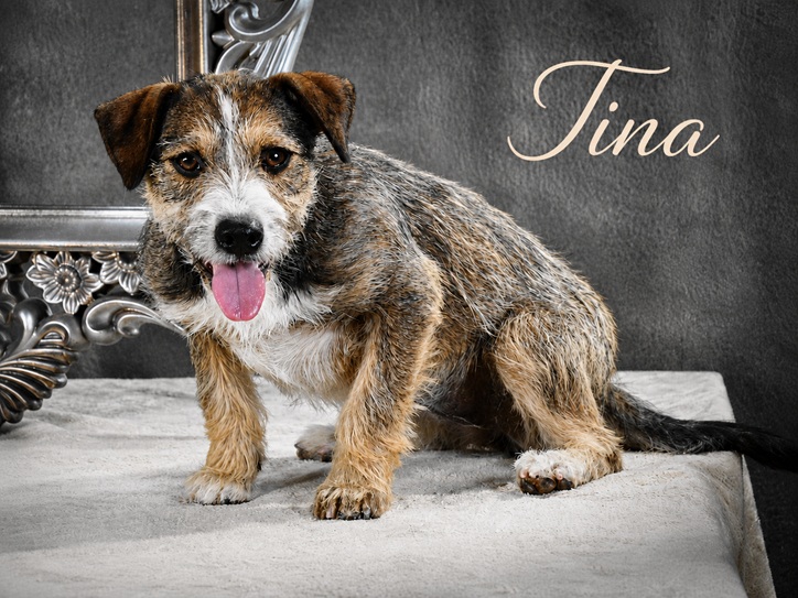 Tina - kleine Chefin