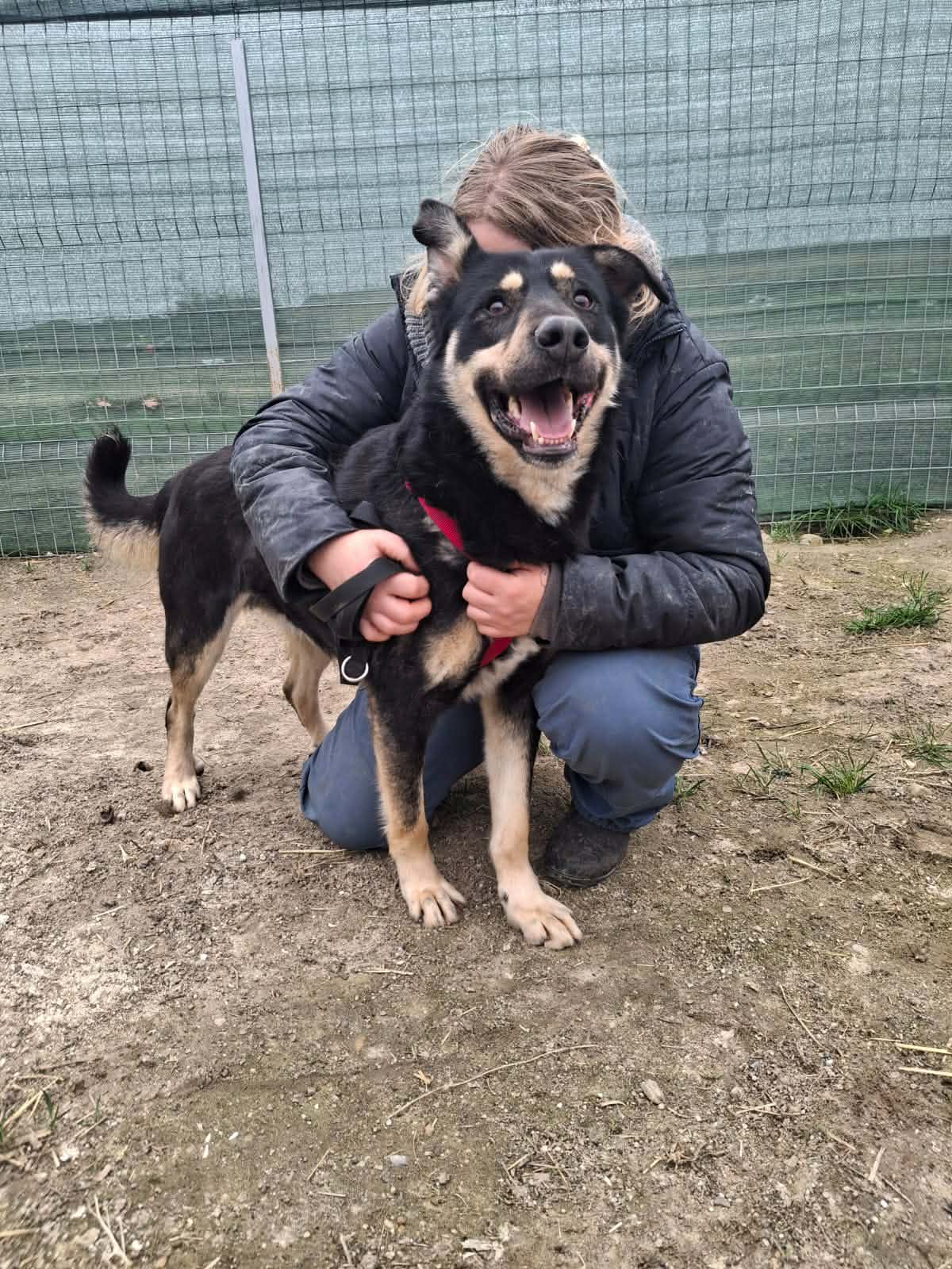 Asmus🐾charakterstark & offen