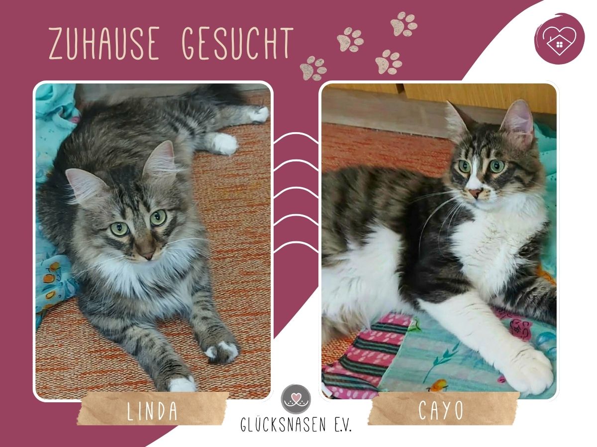 Linda und Cayo sind bereit