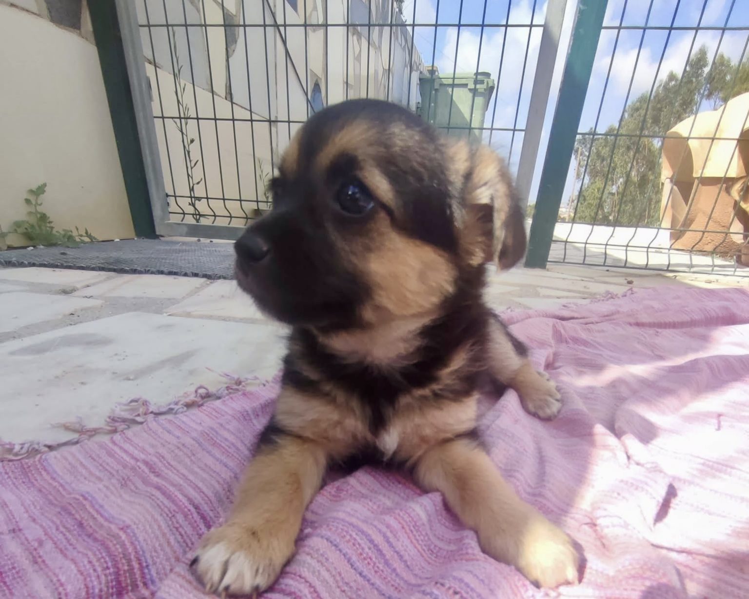 Brooke💕neugierig & verspielt