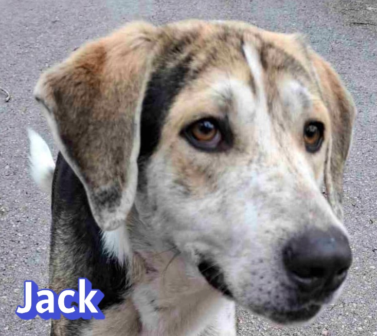 Jack