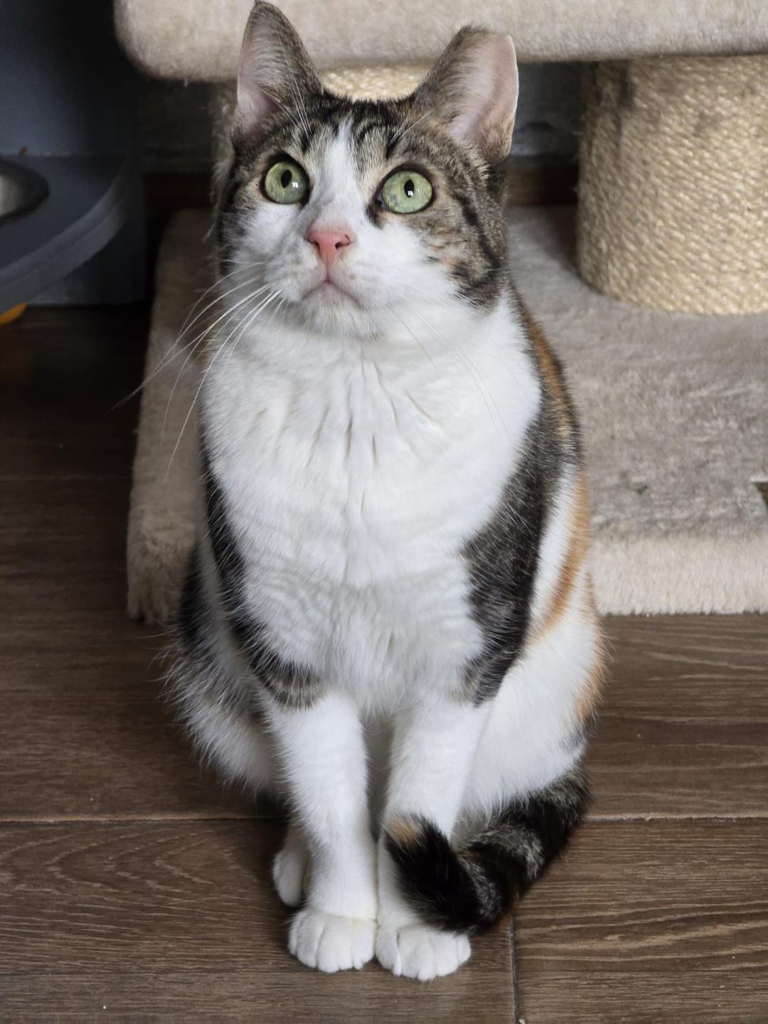 EMILIE