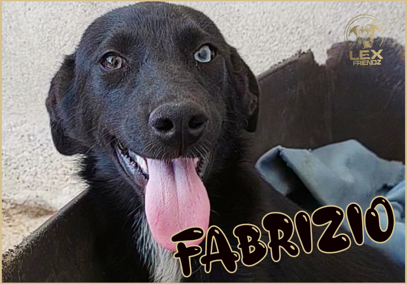 FABRIZIO