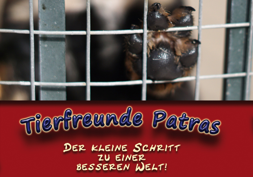 Tierfreunde Patras