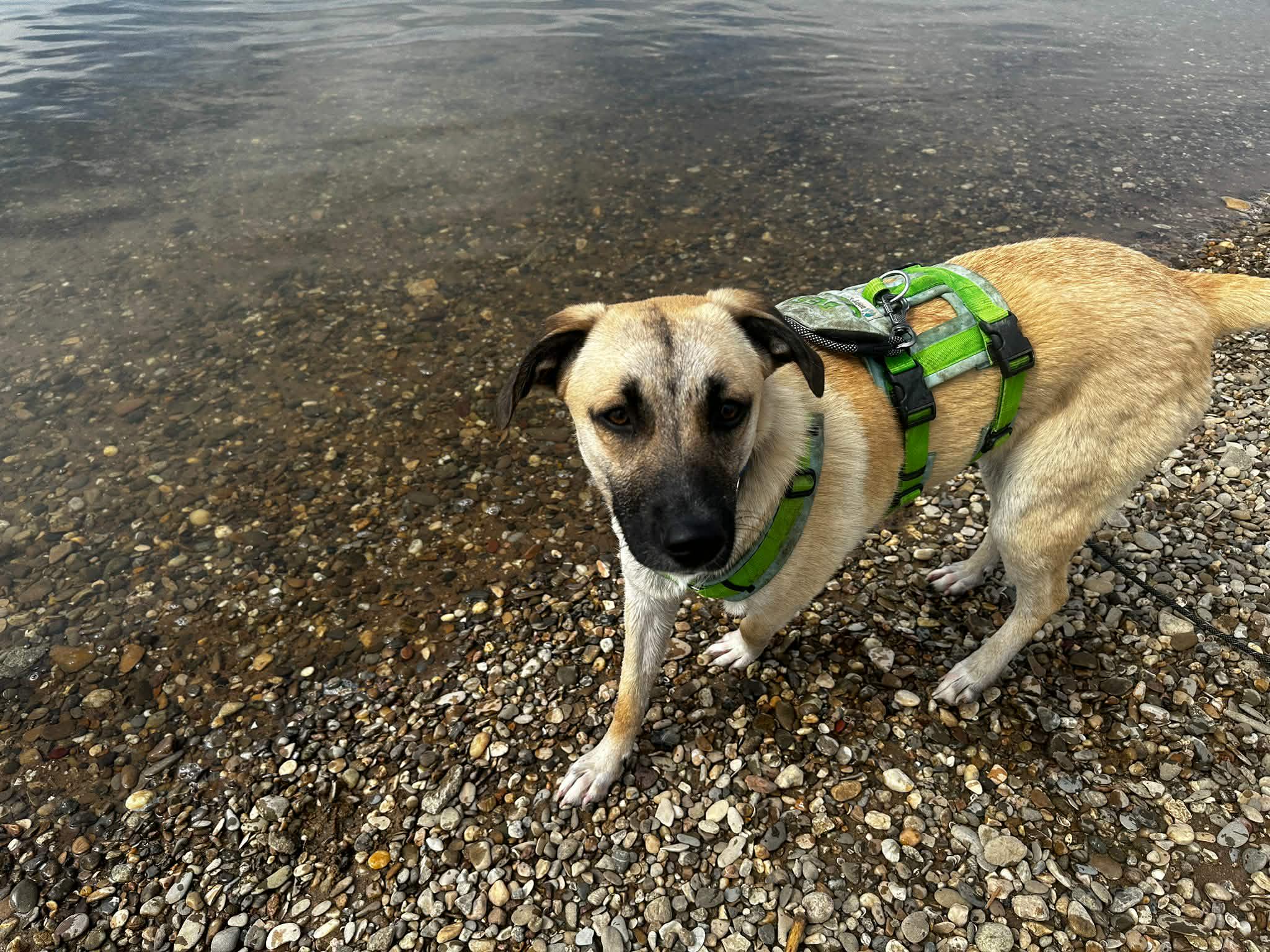 Jacky🐾wartet in 94559