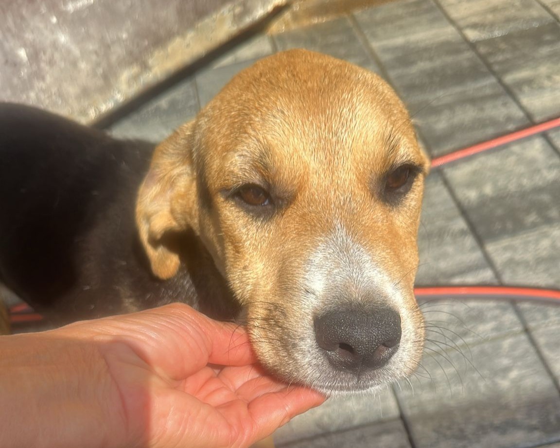 Zeus💕genießt Menschenkontakt