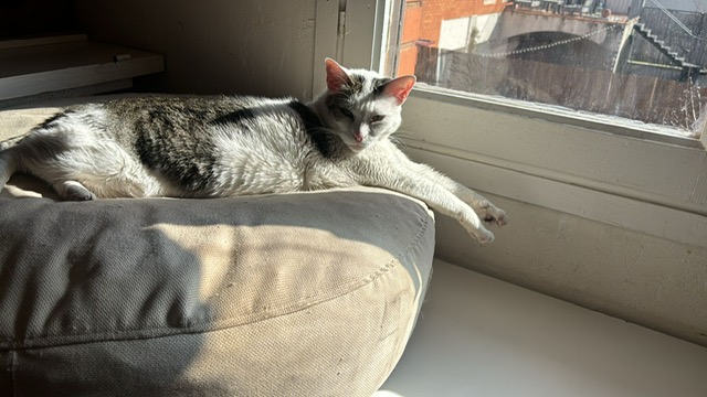 Princesita