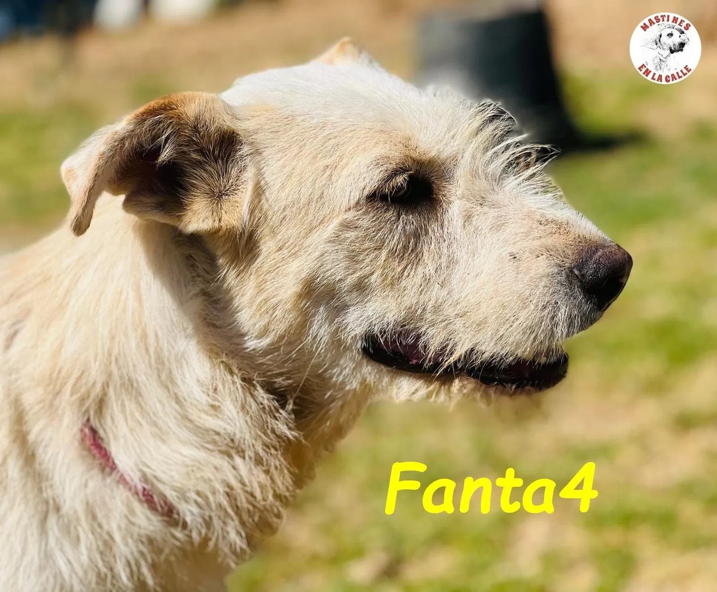 Fanta4