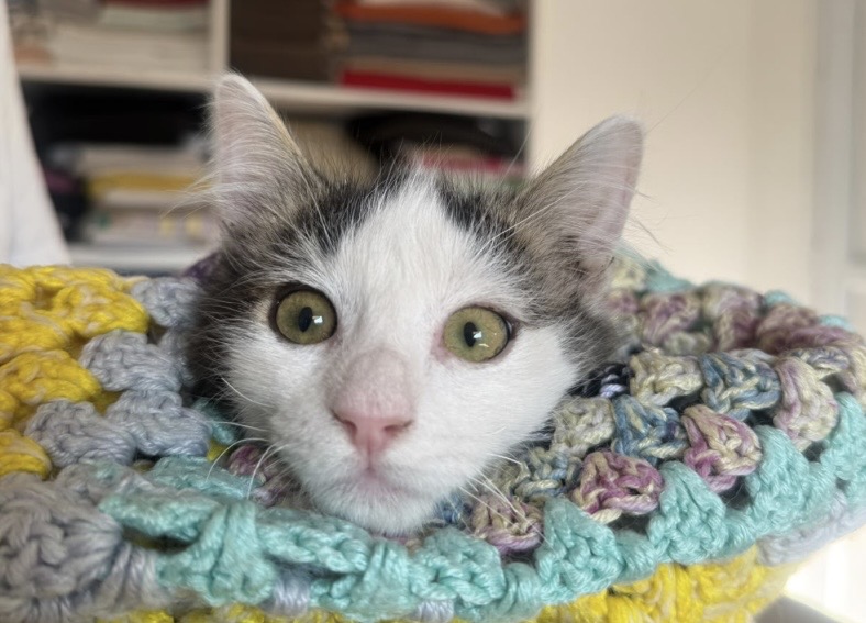 Eddie