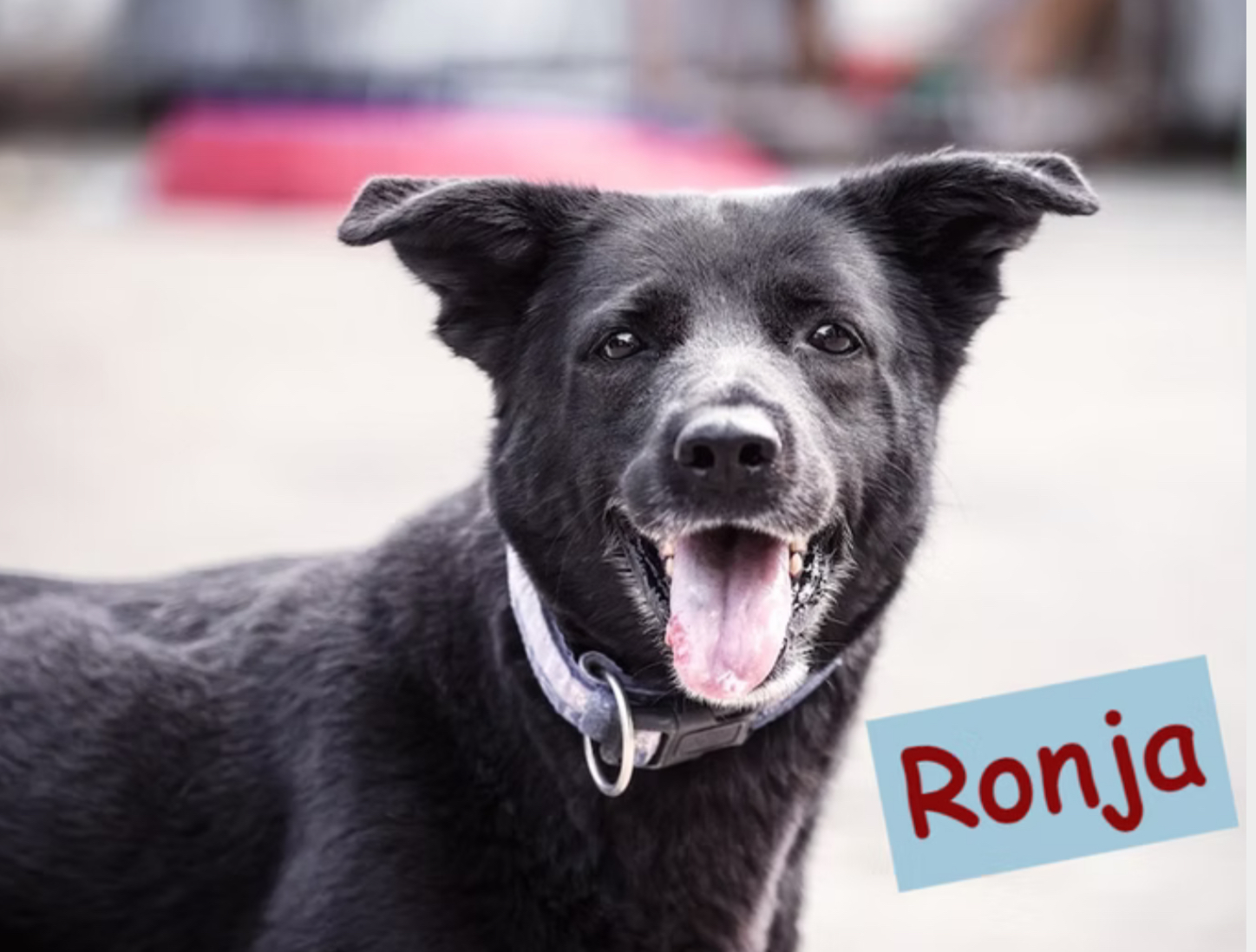 Ronja