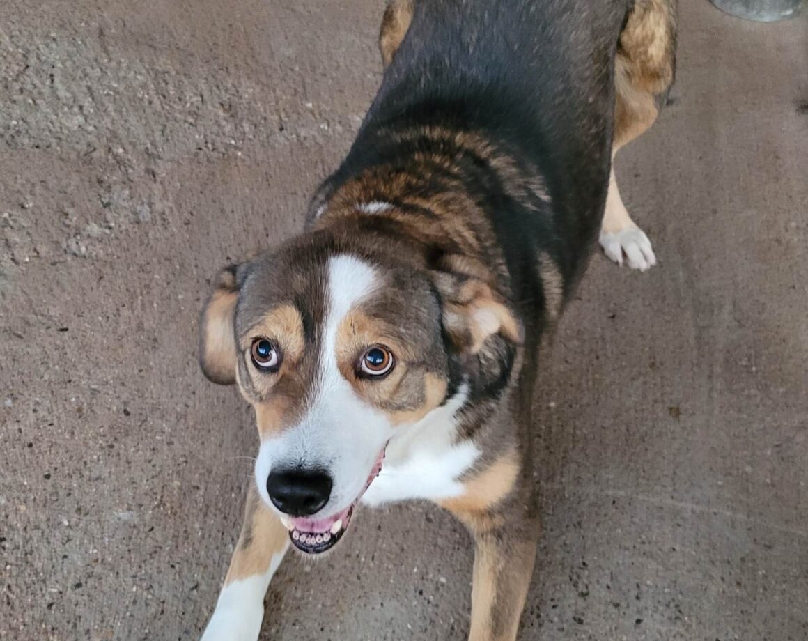 Duke
