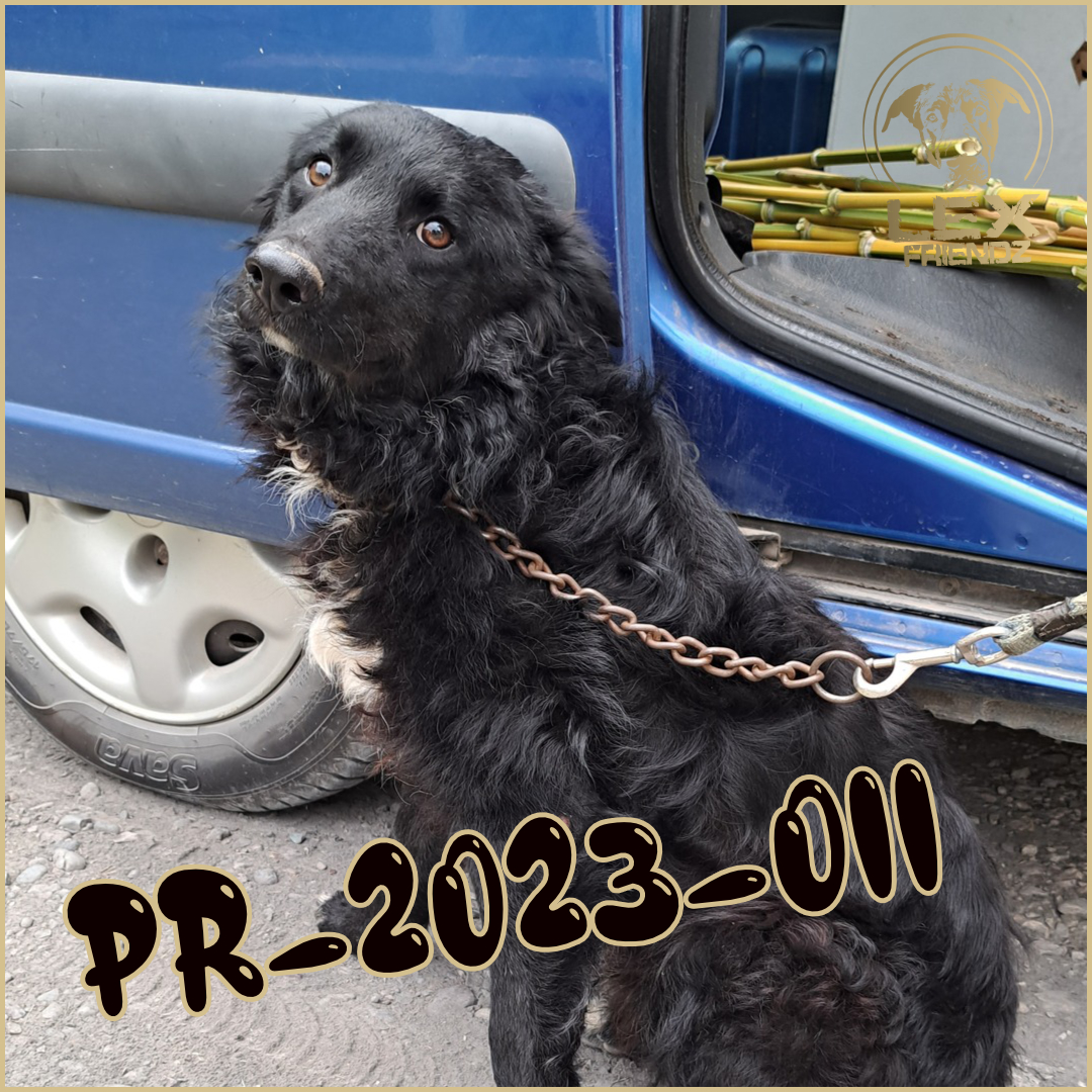 PR-2023-011