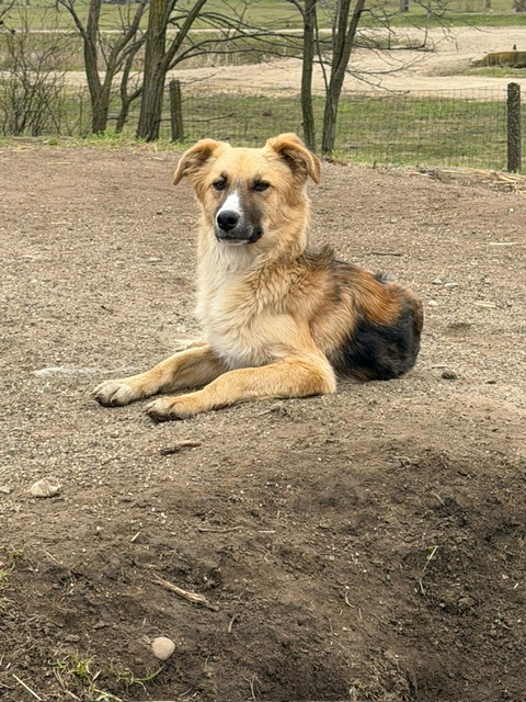Oskar