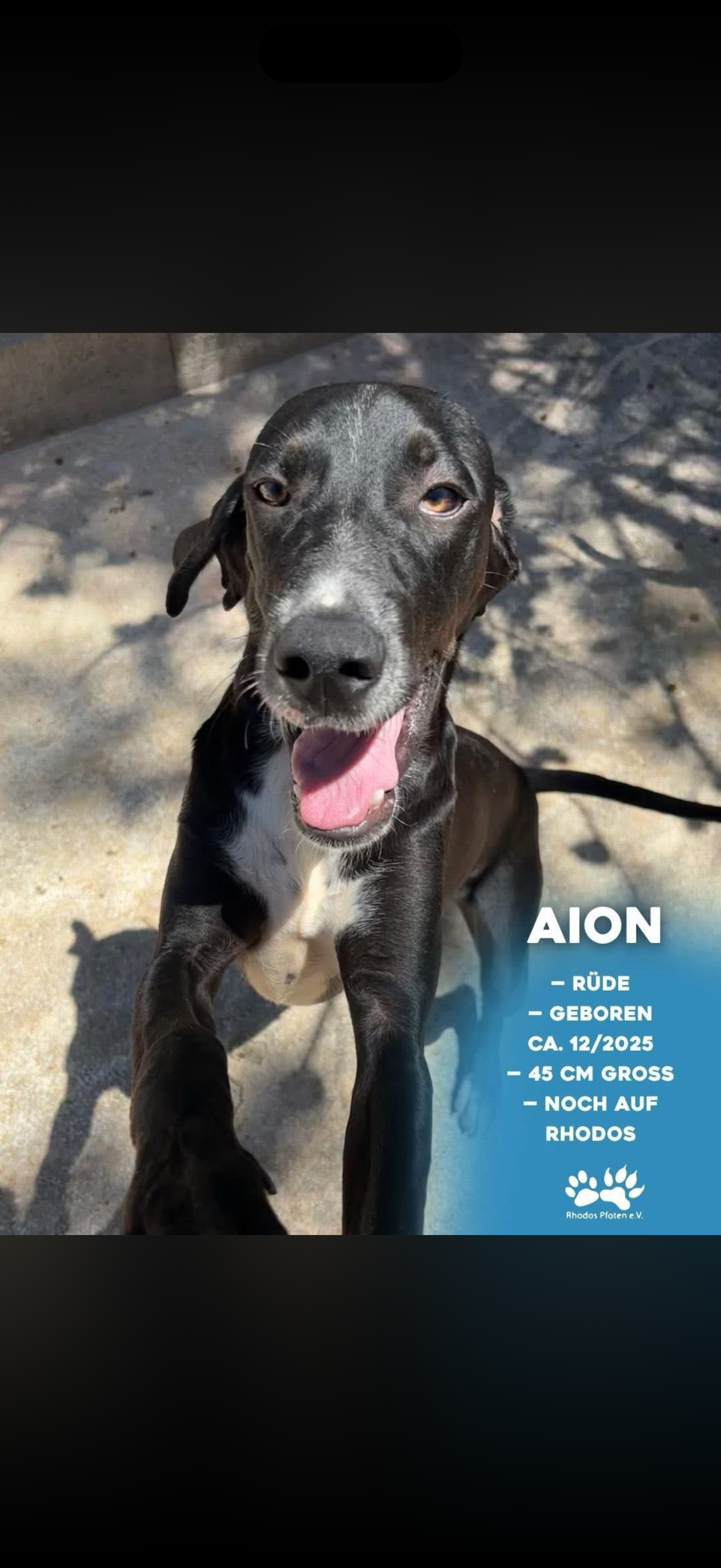Aion
