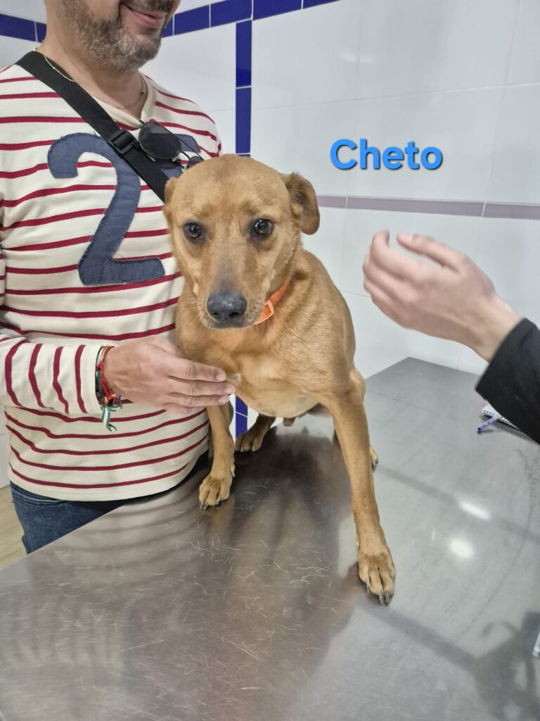 Cheto
