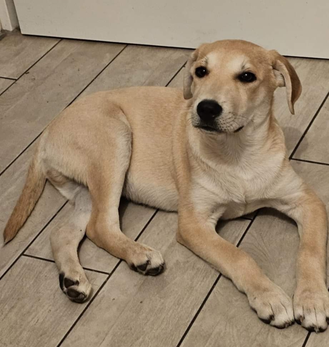 Der kleine Grisu💝HE