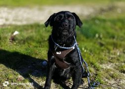 Senior ROKKO💙