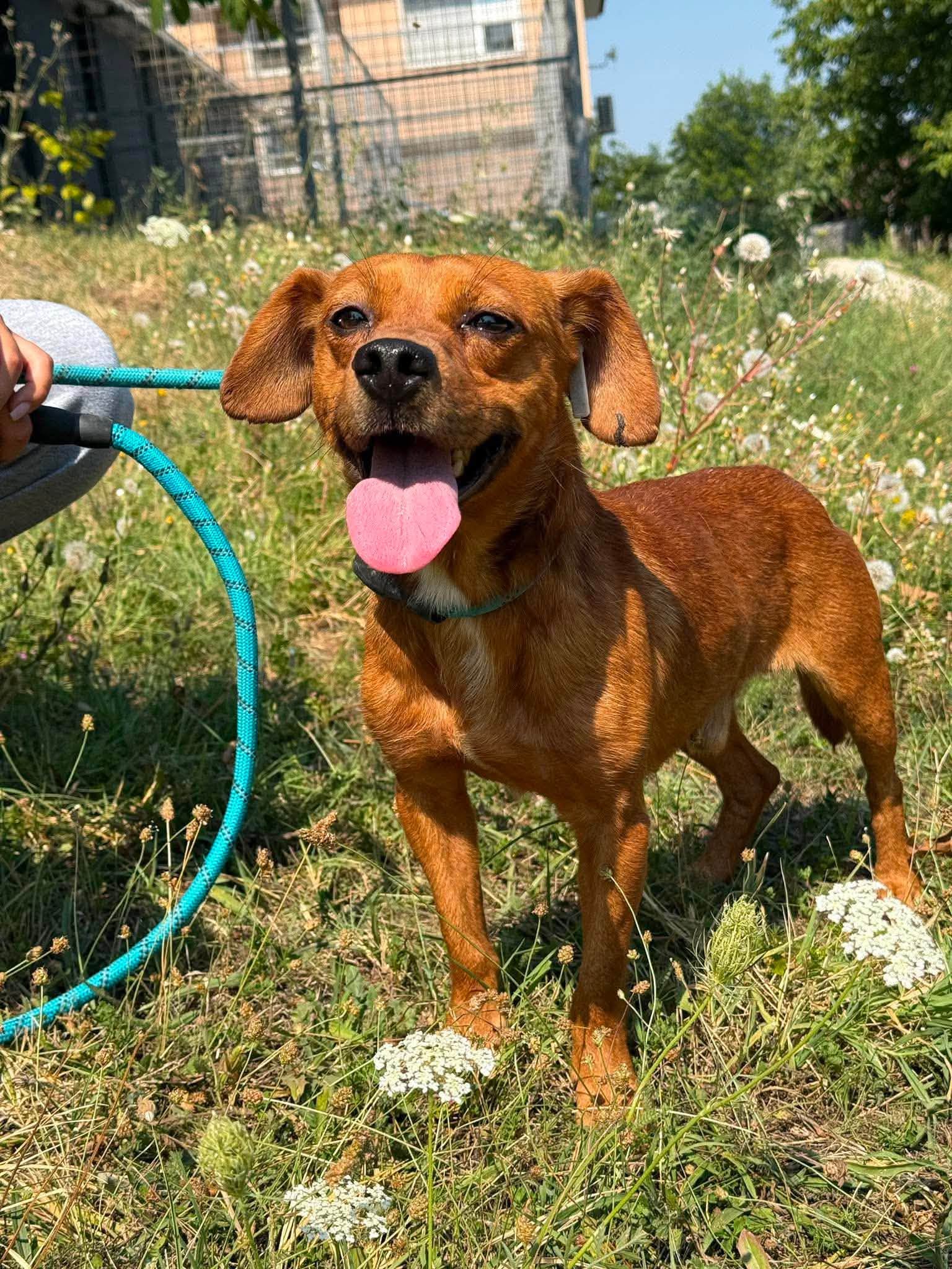 Coco ❤️