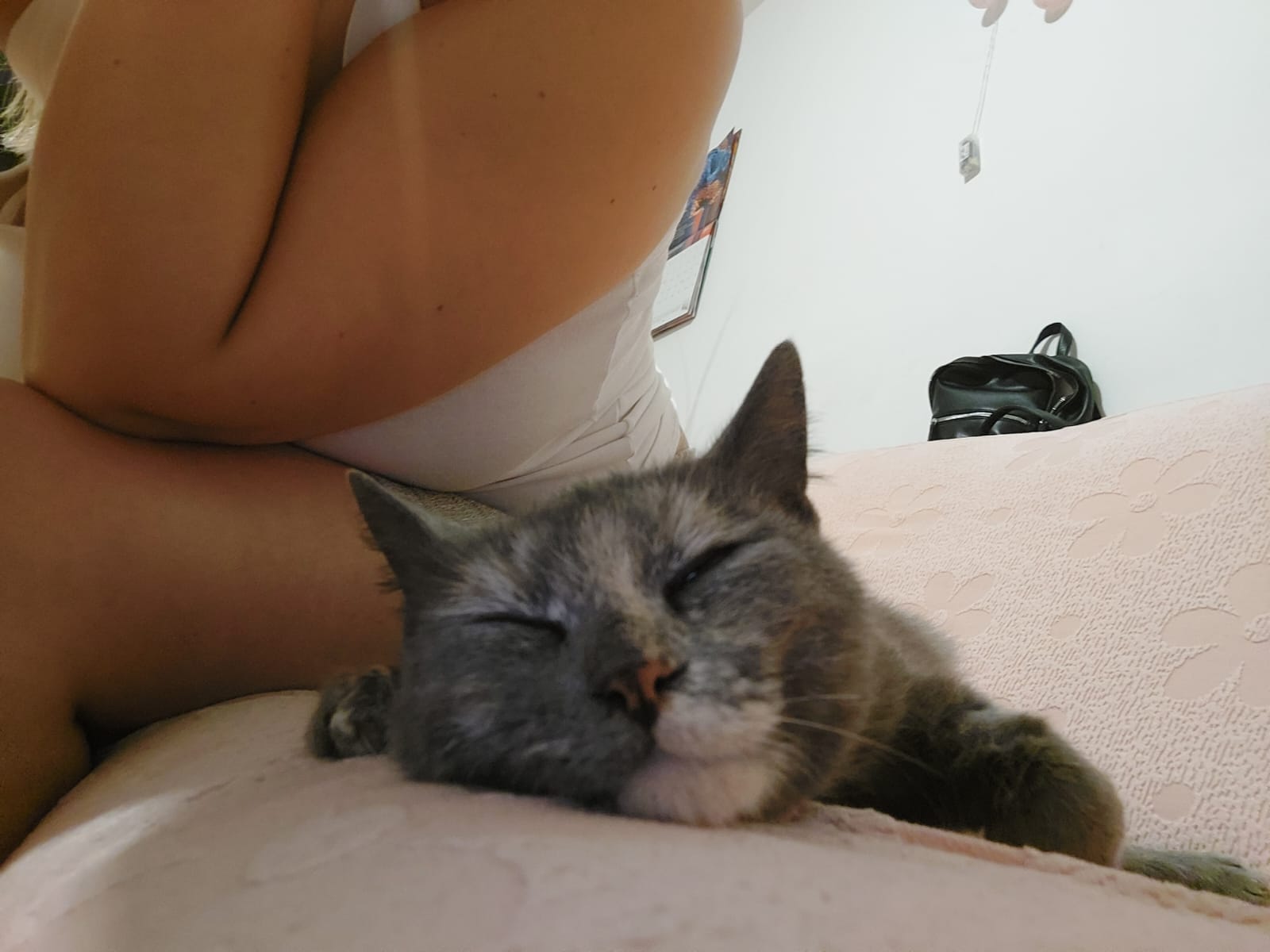 Nala