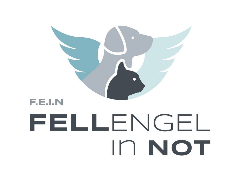 Fellengel in Not