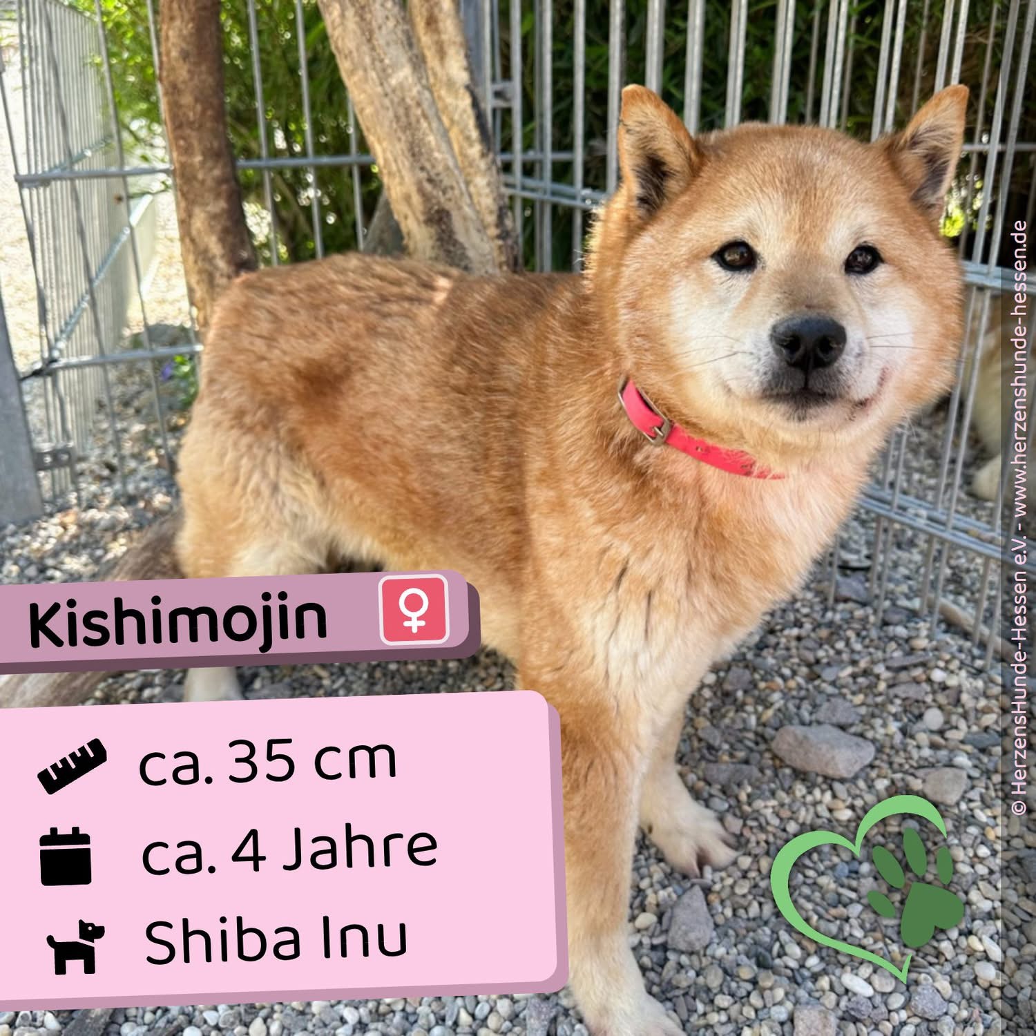 Kishimojin