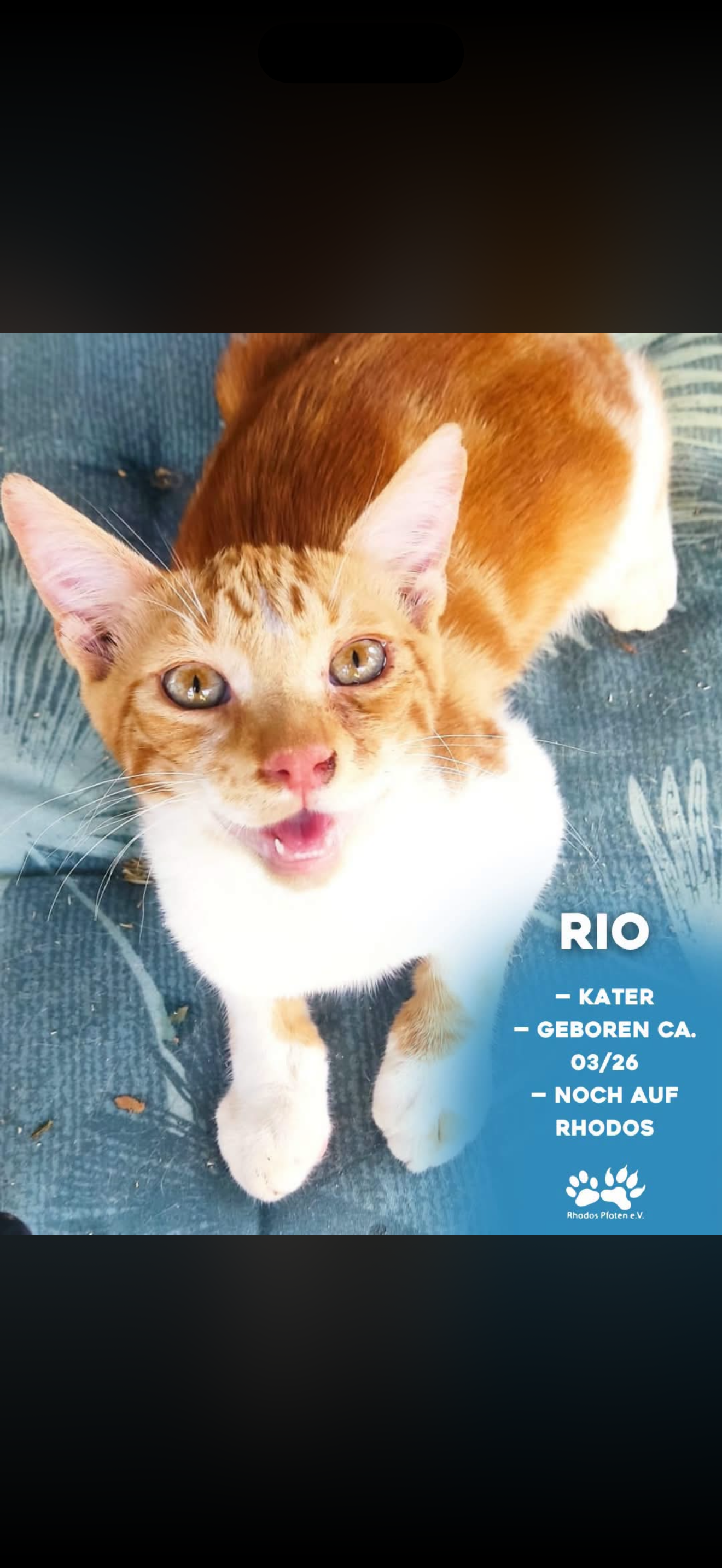 Rio