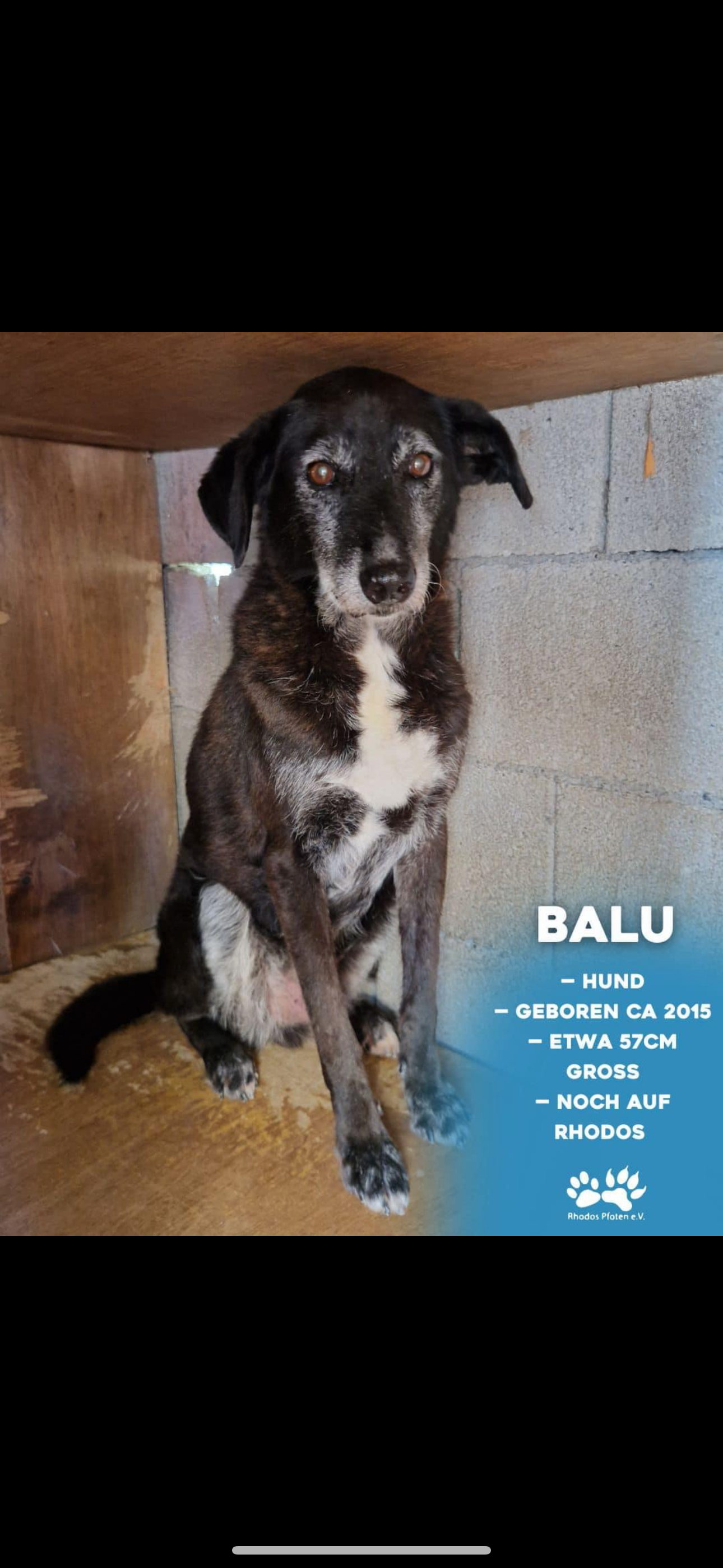 Balu