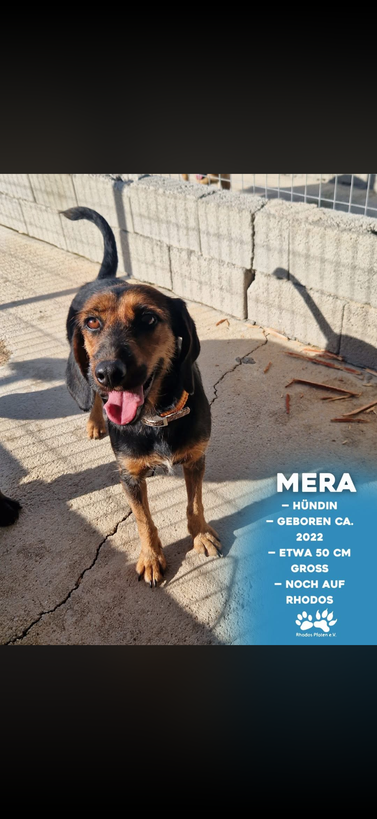 Mera