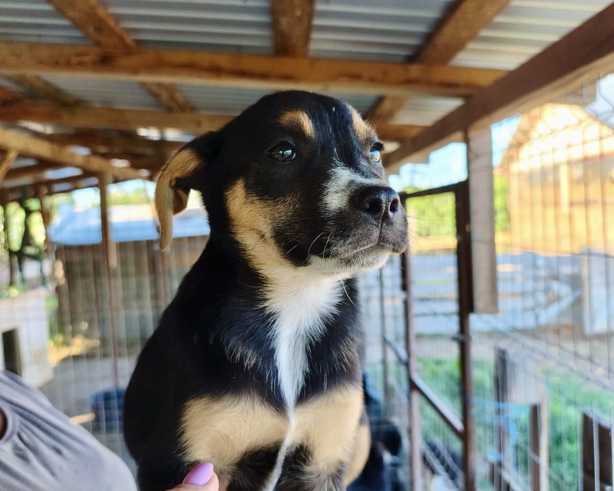 Athena💕kleine Entdeckerin