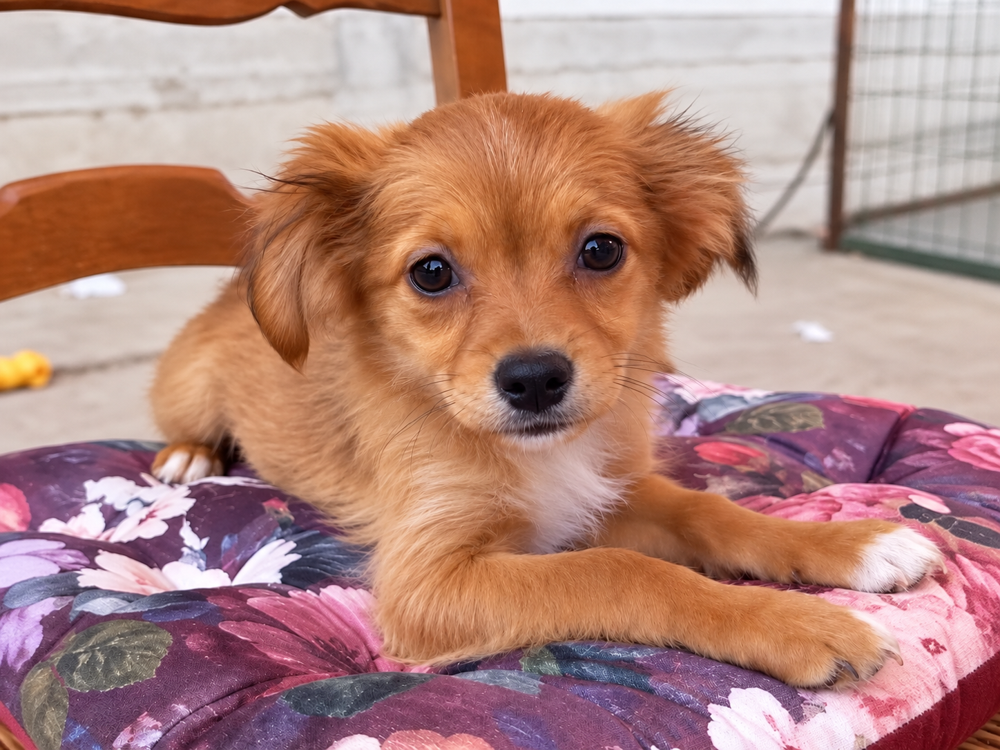 Bibi💕verspielte Entdeckerin