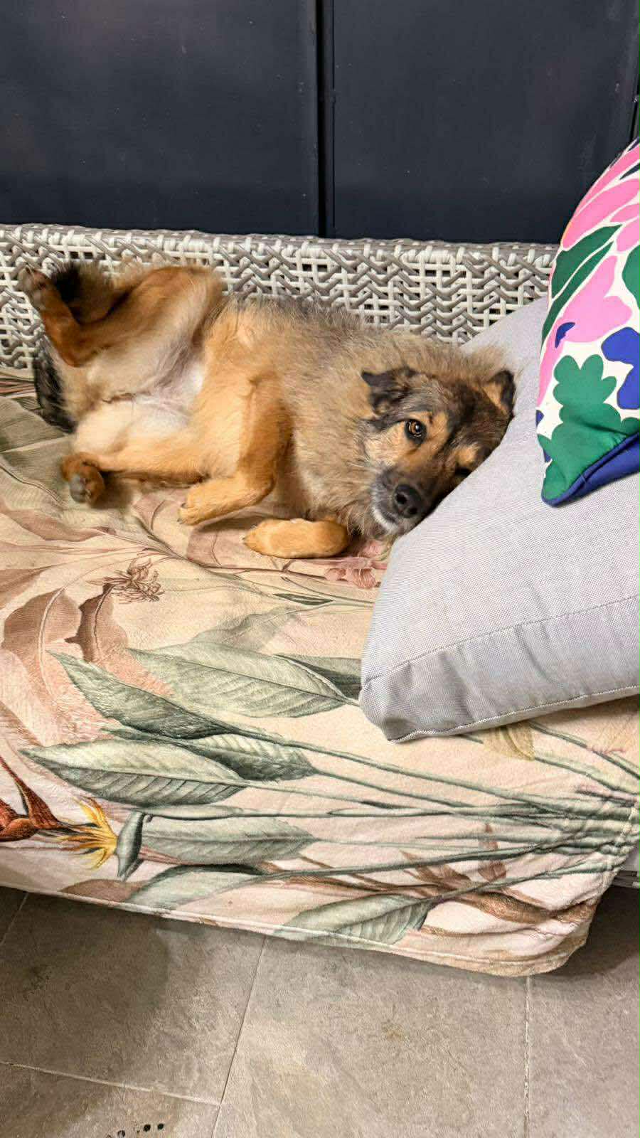 Candy, zuckersüß