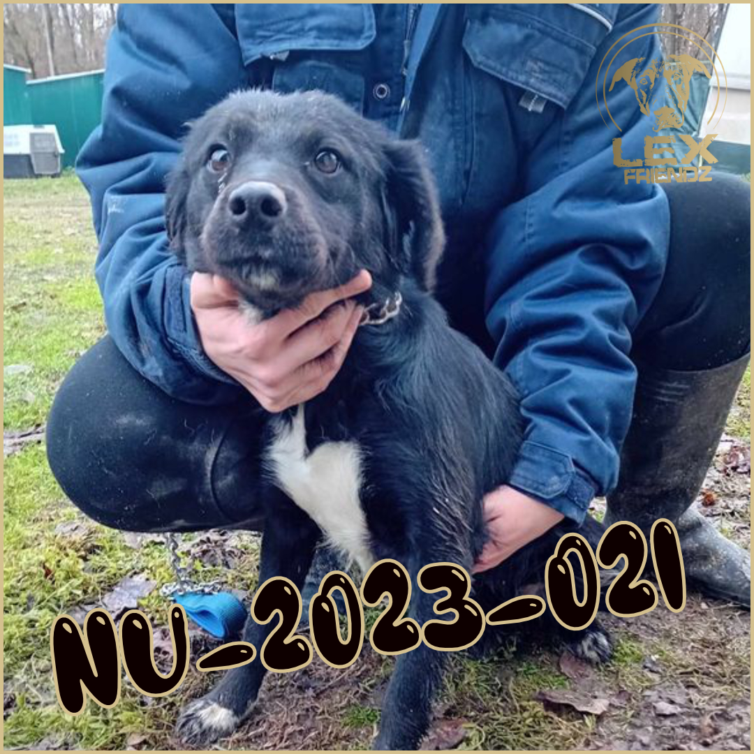 NU-2023-021