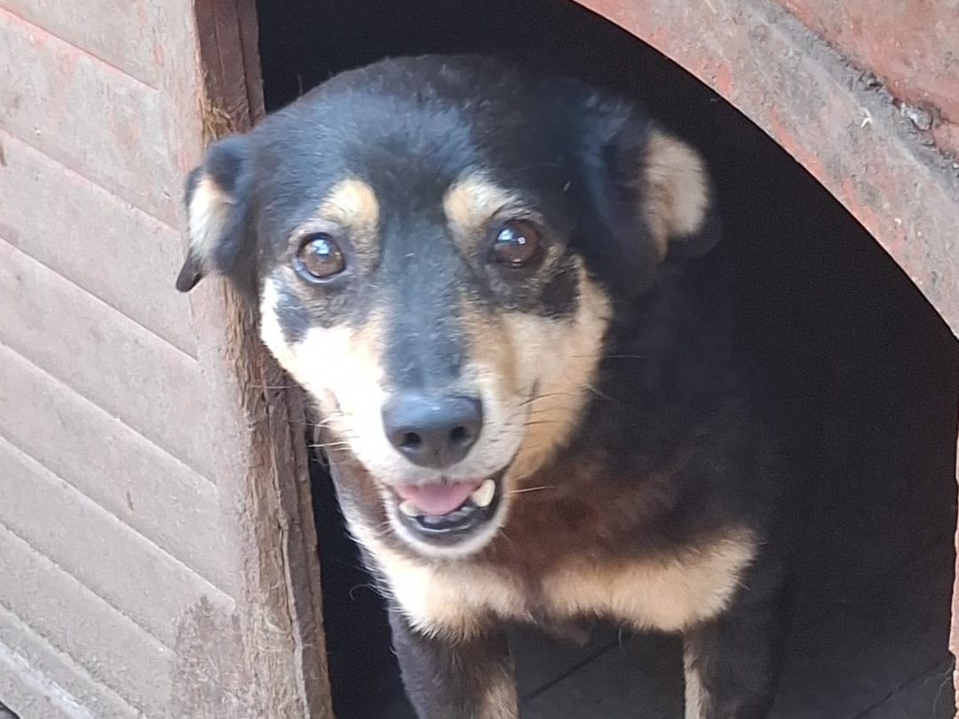 Fetita 🐾🐕