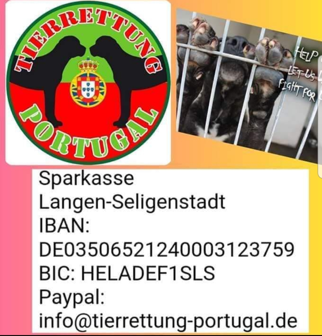Tierrettung Portugal e.V.