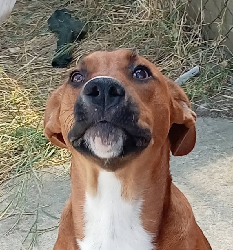 Benny