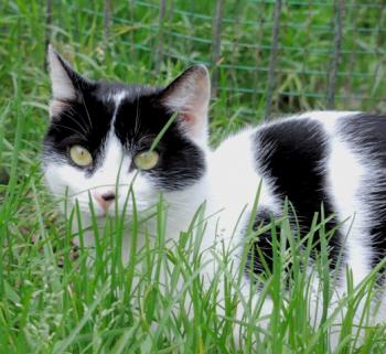 FRIJOLITA sucht ihre Familie