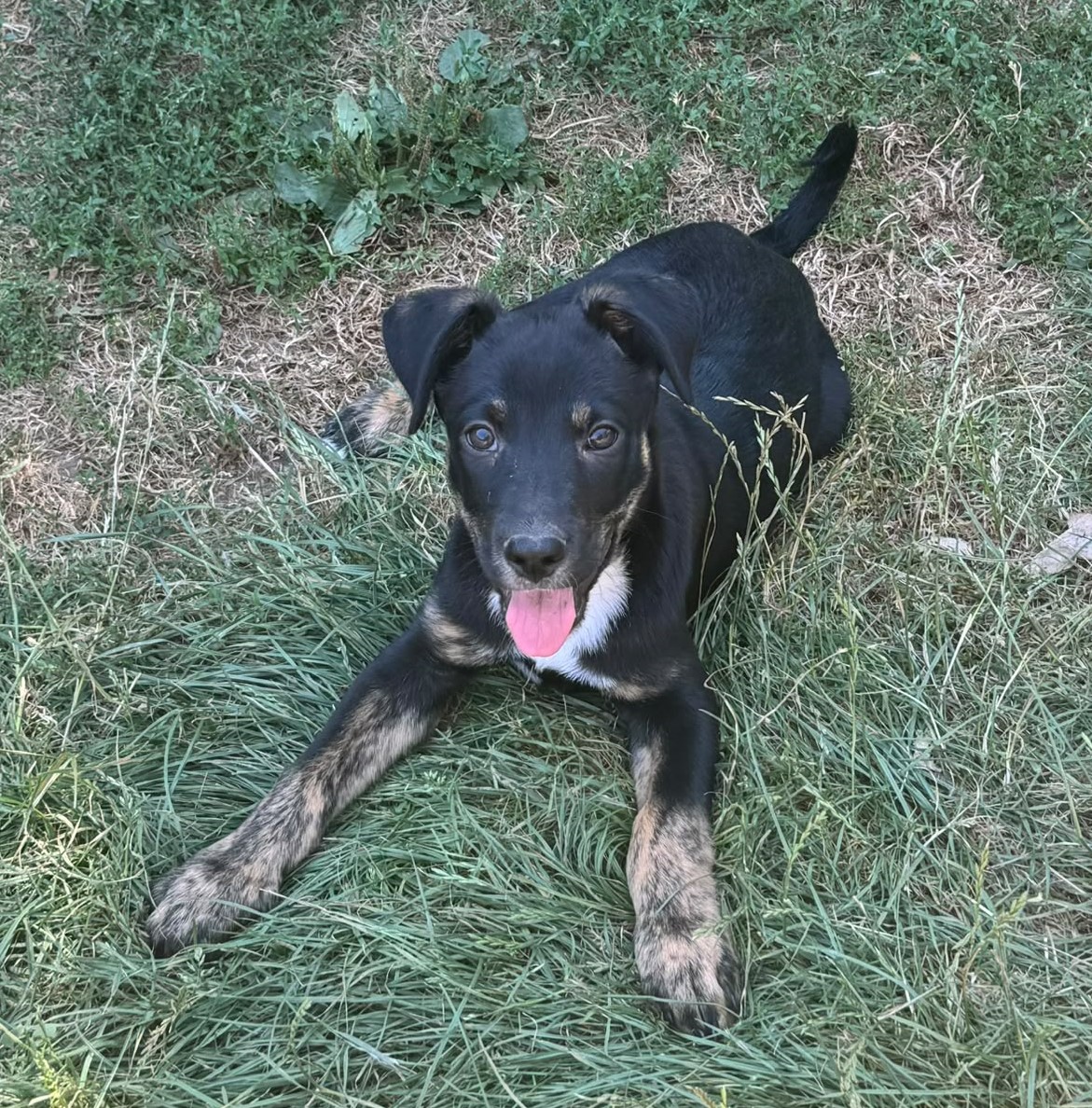 Max