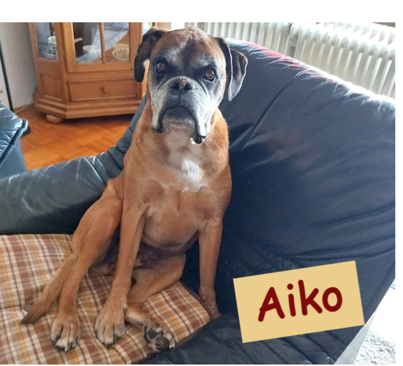 Aiko